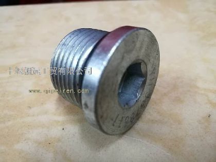 Picture of CUMMINS ISX SUMP PLUG 27MM X 2MM - 57A0005