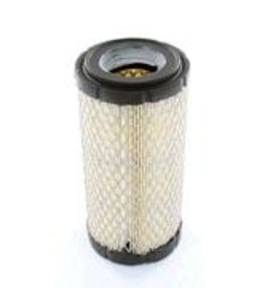 Picture of FILTER AIR - AF25550