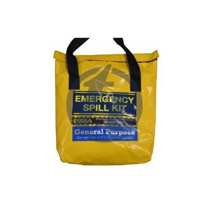 Picture of EMERGENCY TRUCK SPILL KIT - EOGP20