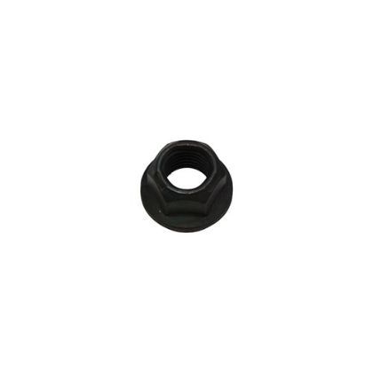 Picture of EXHAUST NUT - PP13104053