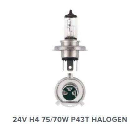 Picture of Globe H4 24v 75/70w P43t - N48892BL