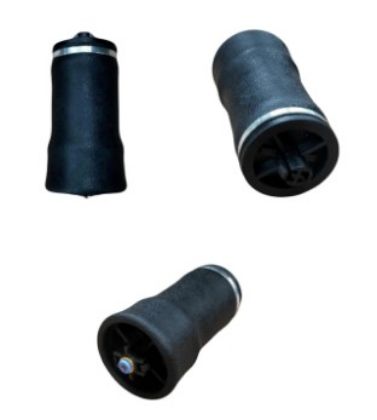 Picture of CAB AIR BAG WESTERN STAR - 1S7205