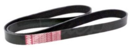 Picture of BELT FAN CUMMINS - 8PK1550