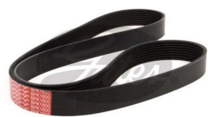 Picture of BELT FAN CUMMINS 350 AIR CON MP8 MACK - 8PK1600