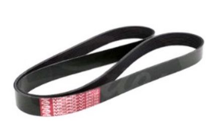 Picture of BELT FAN KENWORTH CAT 2350G - 8PK1755